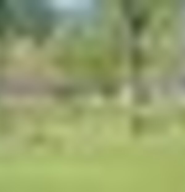 tiny_thumb_parque_lazer_da_cidade_desportiva_5173