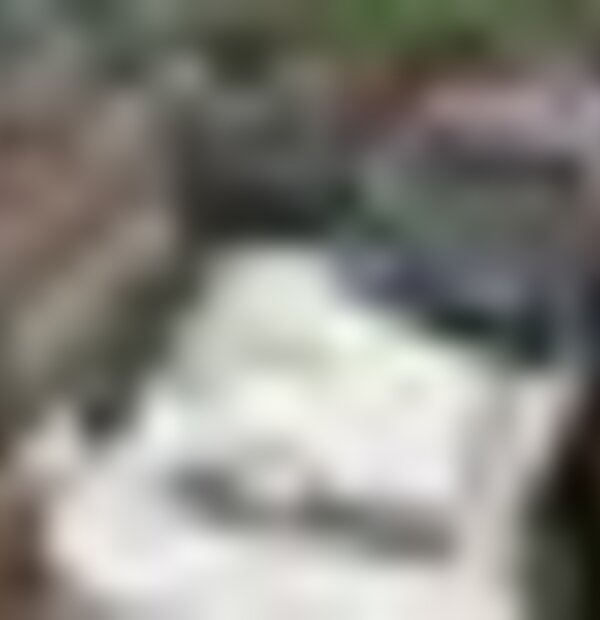 tiny_thumb_largo_donaes_aerea