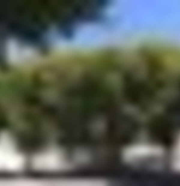 tiny_thumb_img_20210808_105719