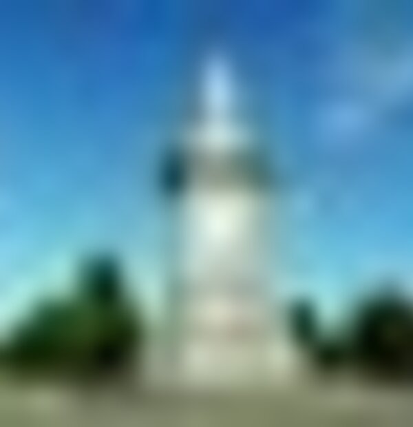 tiny_thumb_pio_ix