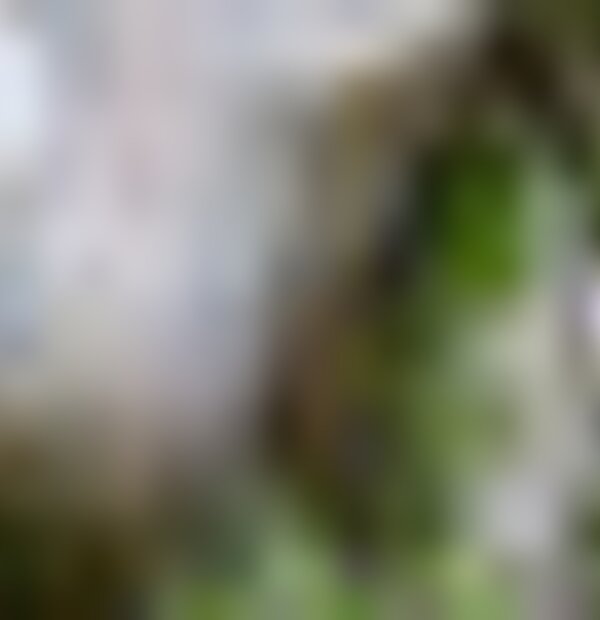 tiny_thumb_pontos_de_interesse__5_