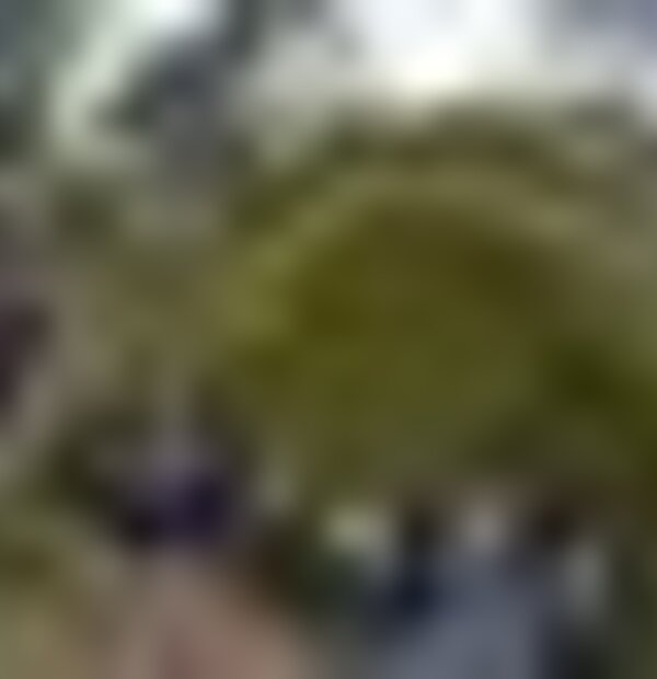 tiny_thumb_foto7