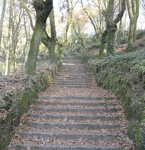 caminhos1