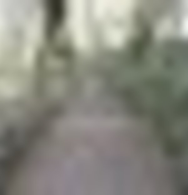 tiny_thumb_caminhos1