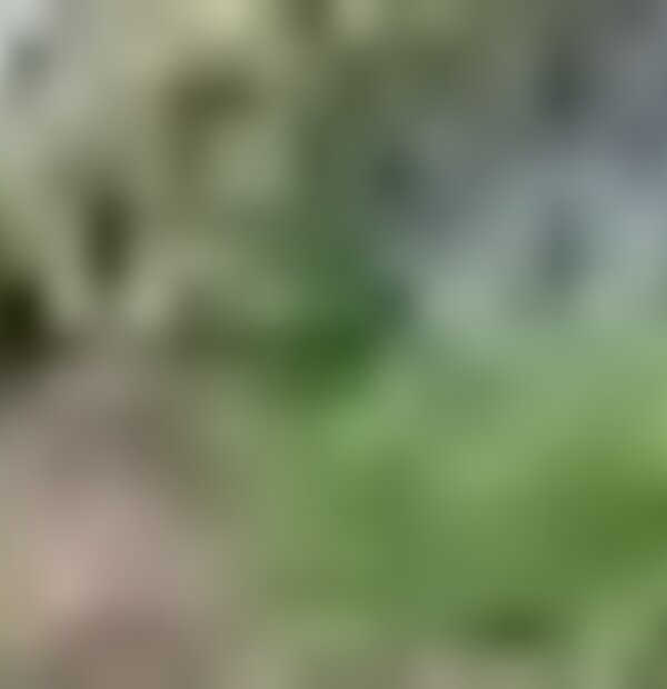 tiny_thumb_03