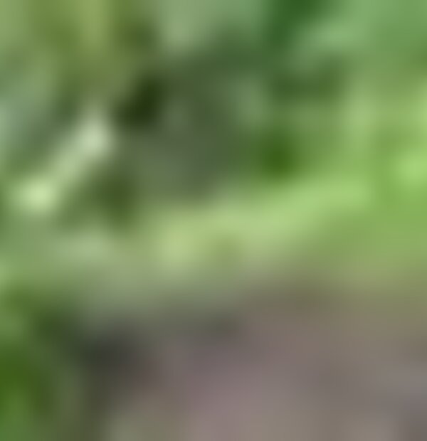 tiny_thumb_001_20180704_122226_moment_02