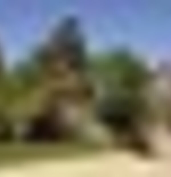 tiny_thumb_penha_natura_5384x