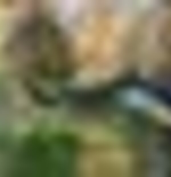 tiny_thumb_parque_do_lago__4_