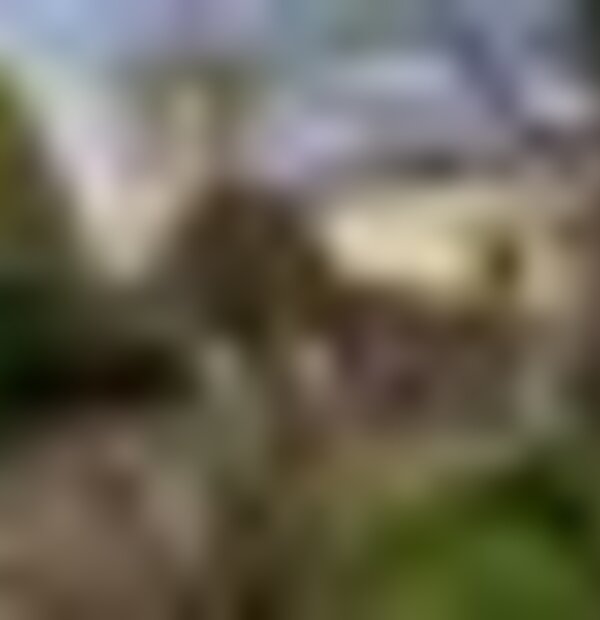 tiny_thumb_igreja_paroquial__3_