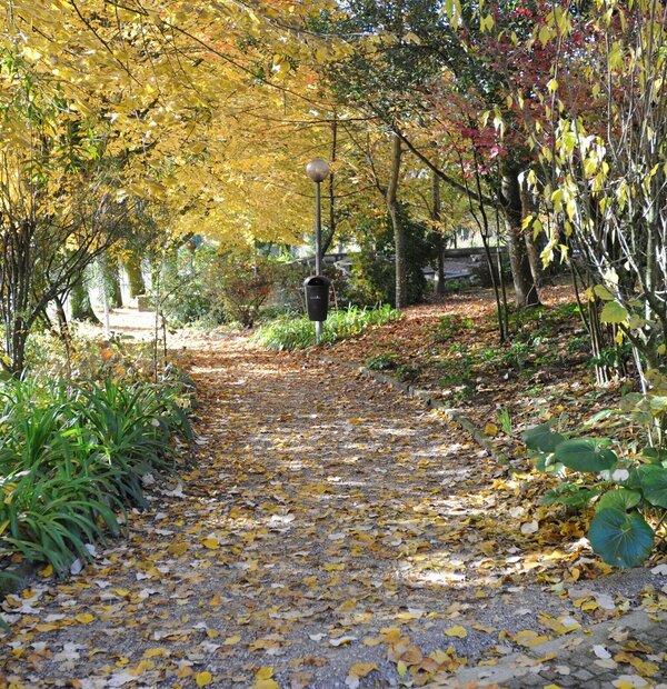 parque_do_lago__2_