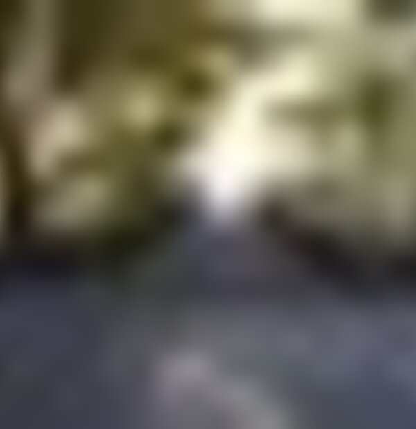 tiny_thumb_parque_central_estadio