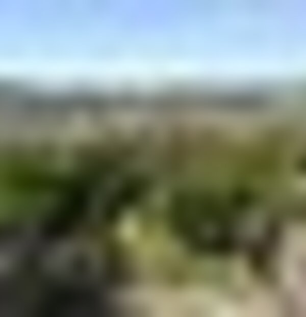 tiny_thumb_colina_sagrada_6633