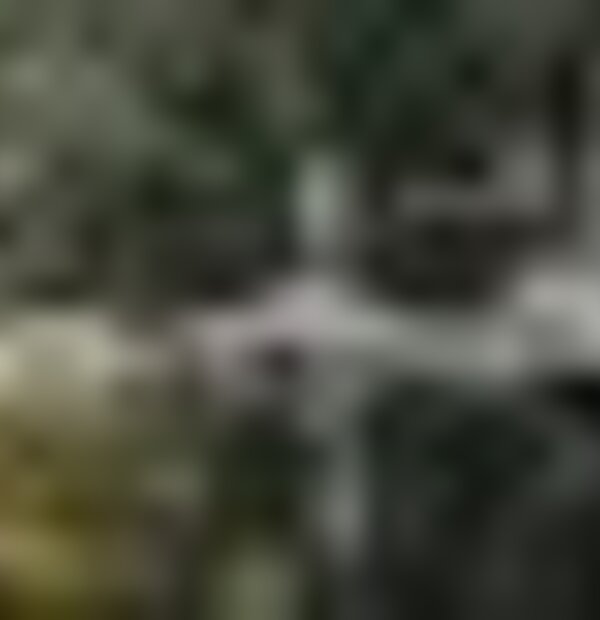tiny_thumb_lagoas_e_charcas