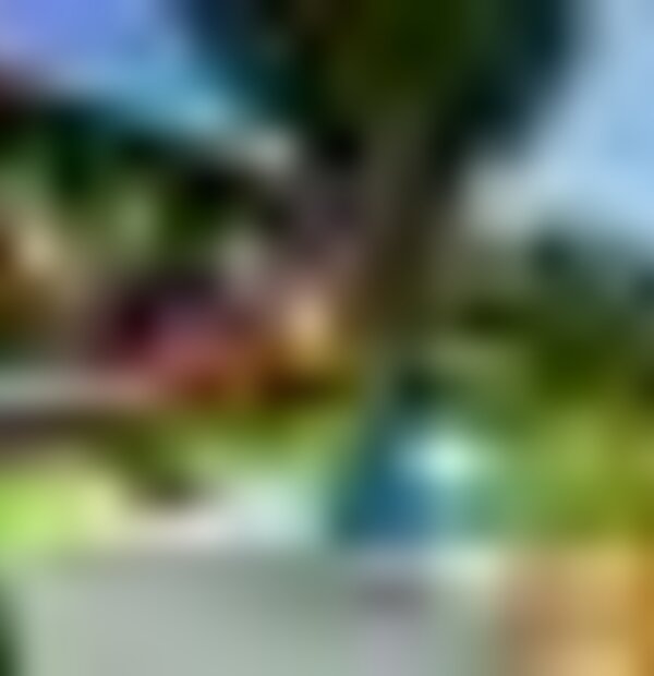 tiny_thumb_222248212