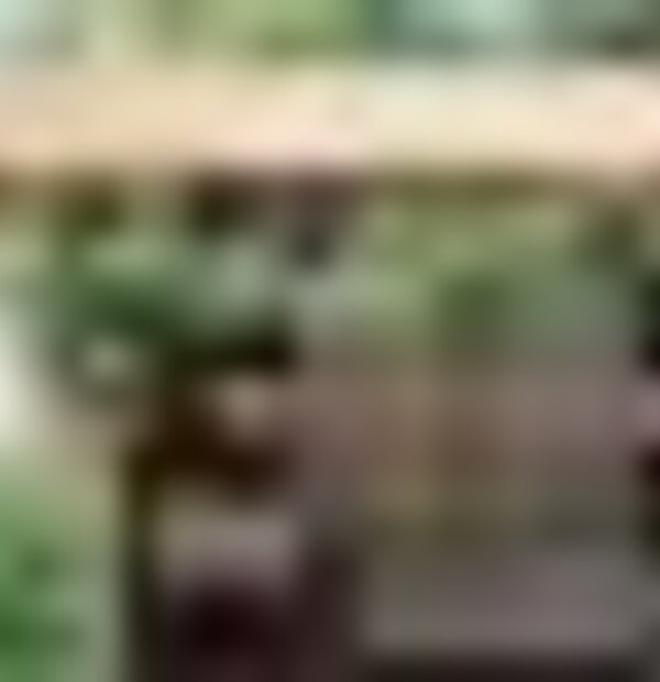 tiny_thumb_254554592
