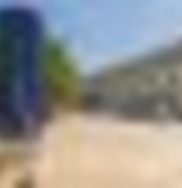 tiny_thumb_golden_tulip_braga___10_