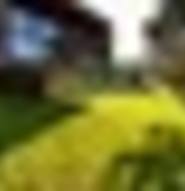 tiny_thumb_img_9816_2