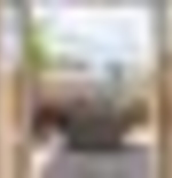 tiny_thumb_terraco