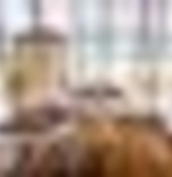 tiny_thumb_img_0230