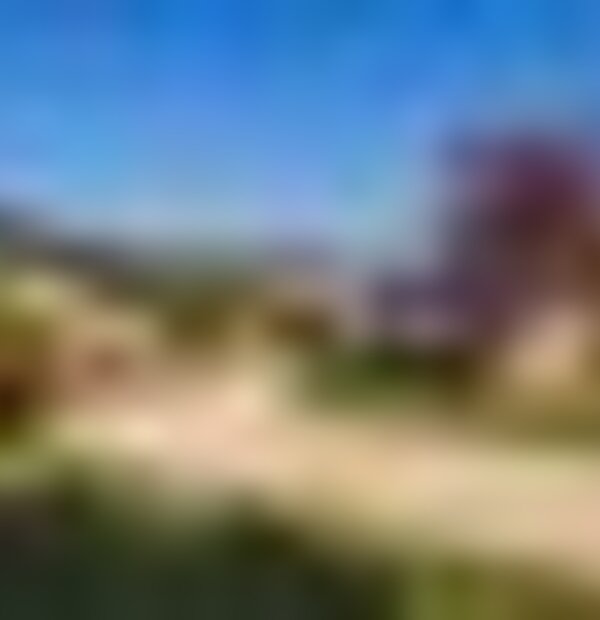 tiny_thumb__mg_5272