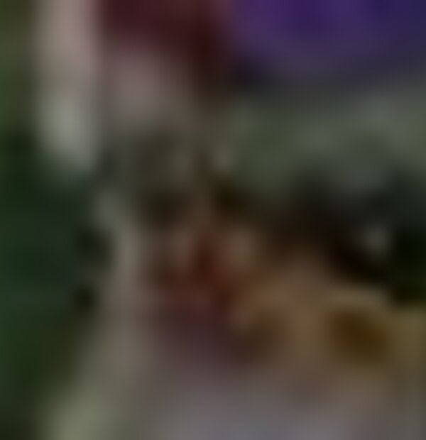 tiny_thumb_facebook_1574548598231
