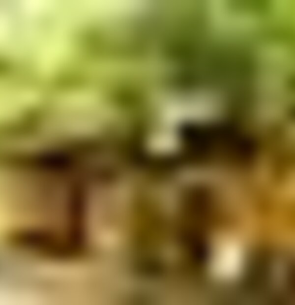tiny_thumb_255988075