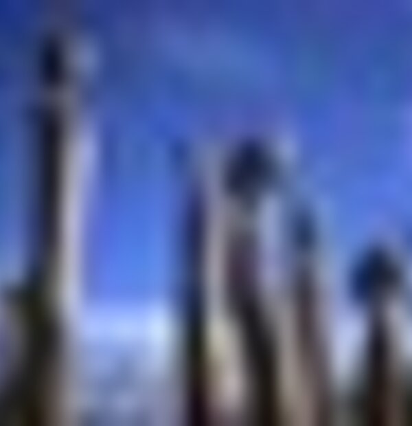 tiny_thumb_campo_d_ataca__2_
