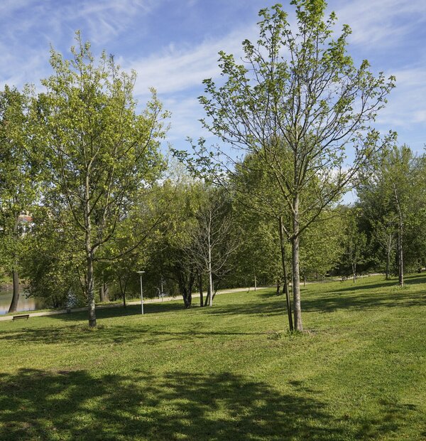 parque_insua_ponte21_337