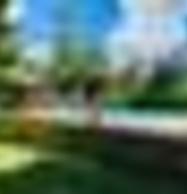 tiny_thumb_286221180