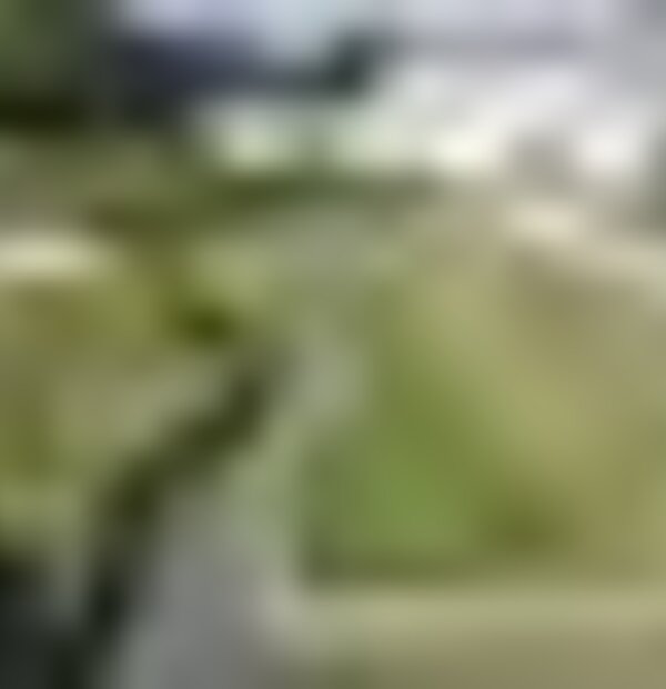 tiny_thumb_hortas_7576_1_1024_2500