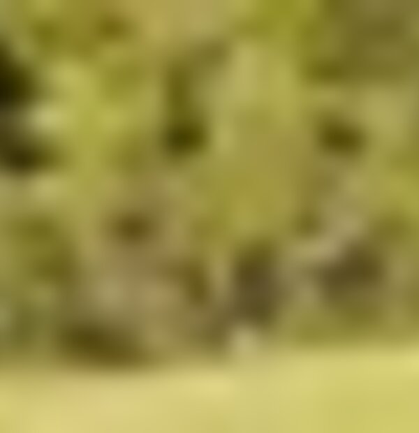 tiny_thumb_parque_insua__3_
