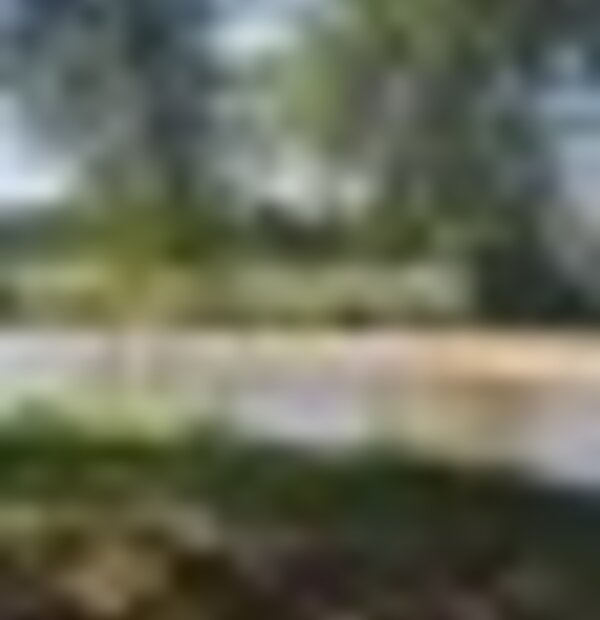 tiny_thumb_barco