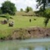 thumb_parque_ponte_5886