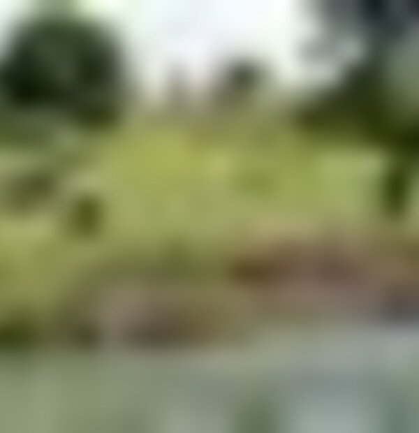 tiny_thumb_parque_ponte_5886