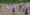 tiny_thumb_20090420100603996061