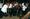 tiny_thumb_2000_11_29_pinheiro05