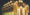 tiny_thumb_20090601112645721394