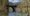 tiny_thumb_20090824150454725484