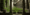 tiny_thumb_20090303122945197643
