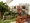 tiny_thumb_foto_jardim