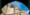 tiny_thumb_20090218170955586866