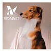 thumb_vidalvet