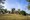 tiny_thumb_castelo__1_
