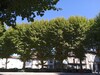 thumb_img_20210808_105719
