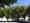 tiny_thumb_img_20210808_105719