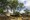 tiny_thumb_citania_de__briteiros