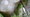 tiny_thumb_pontos_de_interesse__5_