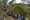 tiny_thumb_foto7