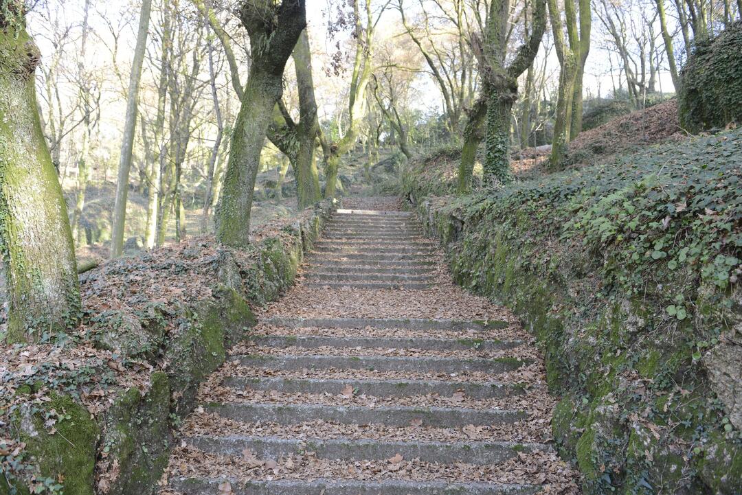 caminhos1