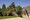 tiny_thumb_penha_natura_5384x
